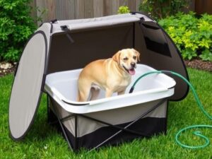 Portable collapsible pet washing station in use outdoors